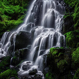 Fairy Falls and Moss, Oregon by Abbie Matthews