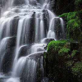 Fairy Falls Closeup with Moss, Oregon by Abbie Matthews