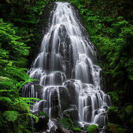 Fairy Falls, Oregon - Full View - Vertical by Abbie Matthews