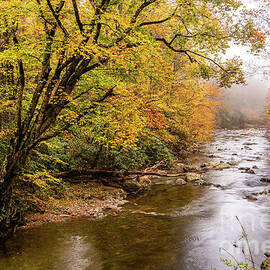 Fall and Fog on the Little River by Jimmy Pappas