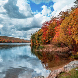 Fall at Mauch Chunk Lake Shoreline Portrait by Jason Fink