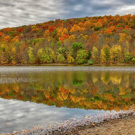 Fall at Ramapo by Penny Polakoff