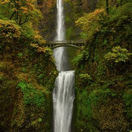 Fall At The Falls by Mary Jo Allen
