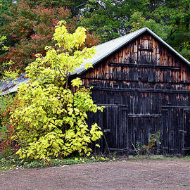 Fall Barn by Steven Nelson