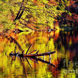 Fall Colors on a Maine Lake by Olivier Le Queinec