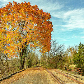 Fall Delaware Canal State Trail