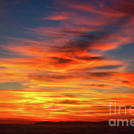 Fiery Sunset Over Catalina Island, Pacific Ocean, California by Abigail Diane Photography