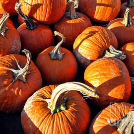 Fall Harvest Decorative Pumpkins on Farm Stand by Olivier Le Queinec