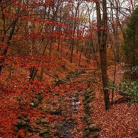 Fall in Grant Park by Deb Beausoleil