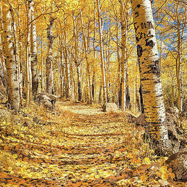 Fall In Love by Rebecca Herranen