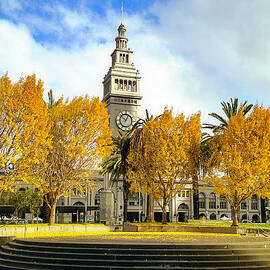Fall in SF by Louis Raphael