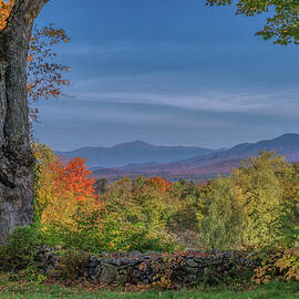 Fall in Sugar Hill by Penny Polakoff