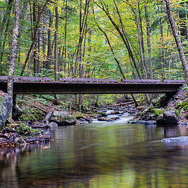 Fall on Hornbeck's Creek by Ron Long Ltd Photography