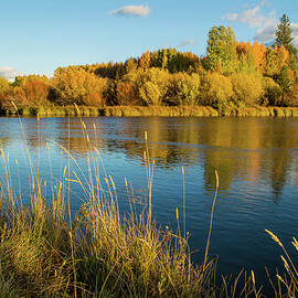 Fall on the Deschutes by Russell Wells