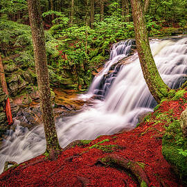 Falls In The Forest, Tama Falls.  by Jeff Sinon