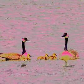 Family of Geese by Bruce Block