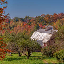 Farm on Lovers Lane by Penny Polakoff