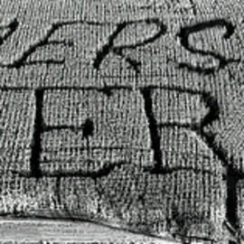 Farmers Feed America Patch BW a by Susan Candelario