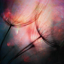 Feathery by Ursula Abresch