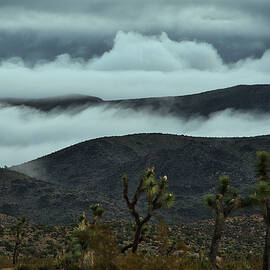 February 2026 Misty Mountains by Alain Zarinelli