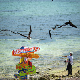 Feeding Birds on Beach Tukka Grand Cayman by Mary Lee Dereske