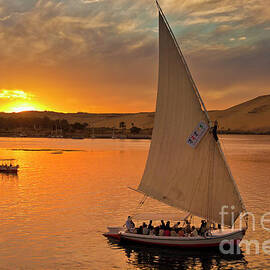Feluccas at sunset on the river Nile, Egypt by Neale And Judith Clark