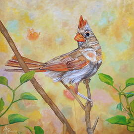 Female Cardinal Portrait by Angeles M Pomata