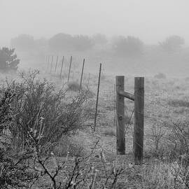 Fence and Fog in New Mexico by Mary Lee Dereske
