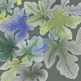 Ficus carica by Gina Harrison