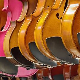 Fiddle Time by Mary Lee Dereske