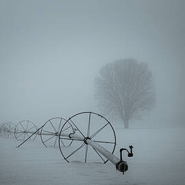 Field of Fog by Mike Lee