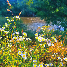 Field with daisy flowers and a river seen in the distance - watercolor painting by Nicko Prints