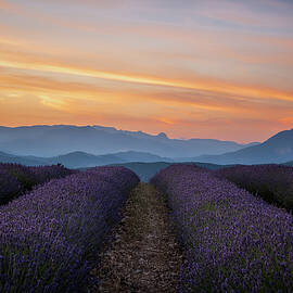 Fiery Sunset over Lavender Provence France by Joanne Eastope