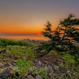 Finding Tranquility by Penny Polakoff