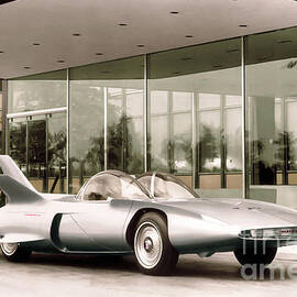 Firebird III by Franchi Torres