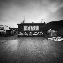 FISH by Will Gudgeon