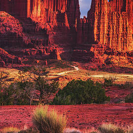 Fisher Towers Majesty, Utah - Vertical by Abbie Matthews