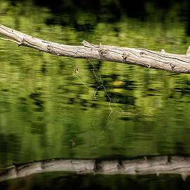 Fishing Hang Up by Kelley King