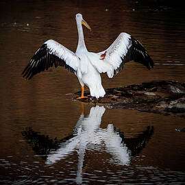 Fishing Stretch by Matt Halvorson