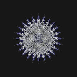 Flame Burst by David Manlove