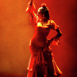 Flamenco Night at Angela Peralto Theatre Mazatlan Mexico by Tommy Farnsworth