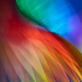 Flamenco by Ursula Abresch