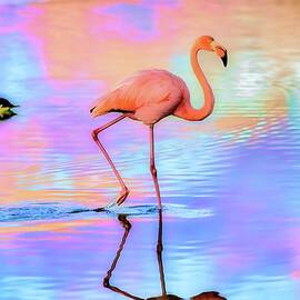 Flamingo in Vibrant Waterscape by Bruce Block