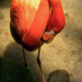 Flamingo No. 2 by Dodie Ross