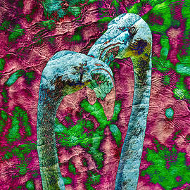 flamingos by Bruce Block