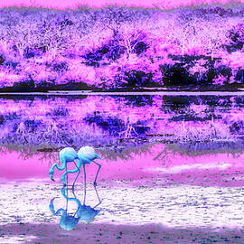 Flamingos in Pink Landscape by Bruce Block