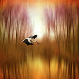 Flight of Fancy by Jessica Jenney