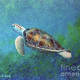 Floating Free by Sarah Irland