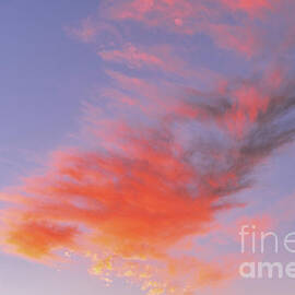 Floating in the Clouds by Abigail Diane Photography