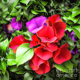 Floral Abstract 23 by William Gunn